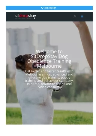 Dog obedience training Melbourne