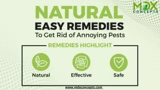 9 Household Bugs and Natural Remedies for Every Home