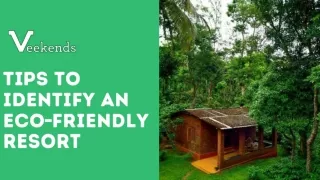 Tips To Identify An Eco-Friendly Resort