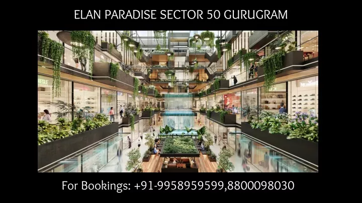 elan paradise sector 50 gurugram