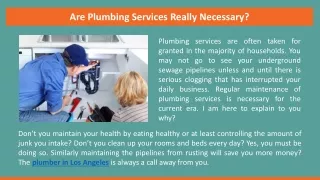 are plumbing services really necessary