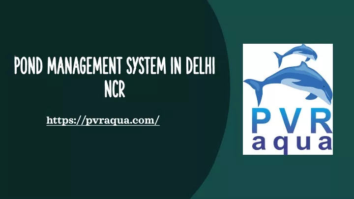 pond management system in delhi ncr