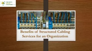 benefits of structured cabling services for an organization