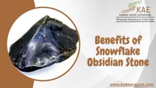 Benefits of Snowflake Obsidian Stone | Healing with Snowflake Obsidian