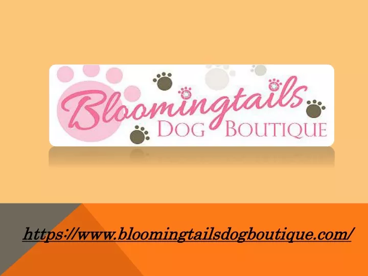 https www bloomingtailsdogboutique com