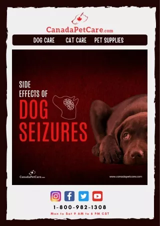 Side Effects of Dog Seizure CanadaPetCare