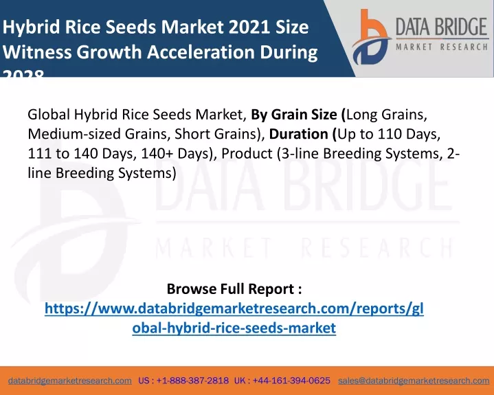 hybrid rice seeds market 2021 size witness growth