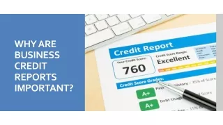 WHY ARE BUSINESS CREDIT REPORTS IMPORTANT