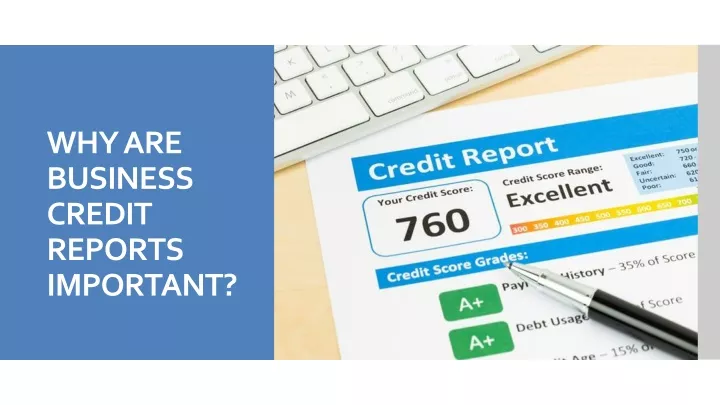 why are business credit reports important