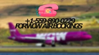 1 559 890 0229