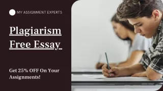 Plagiarism Free Essay