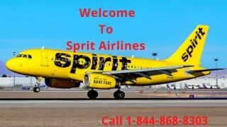 Spirit Airlines-Manage Booking
