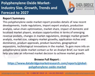 Polyphenylene Oxide Market | Production, Supply and Demand Forecast by Product