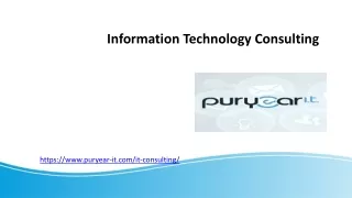 Information Technology Consulting