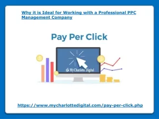 Why it is Ideal for Working with a Professional PPC Management Company