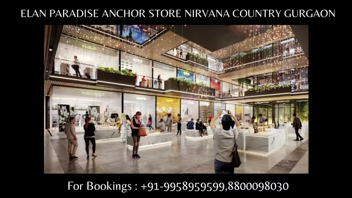 elan paradise anchor store nirvana country gurgaon