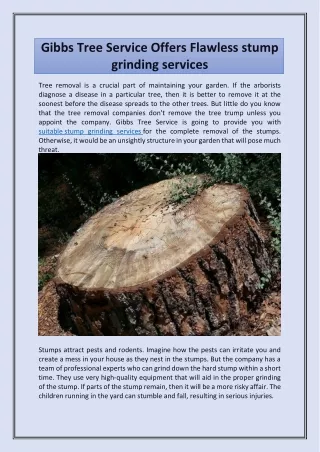 gibbs tree service offers flawless stump grinding