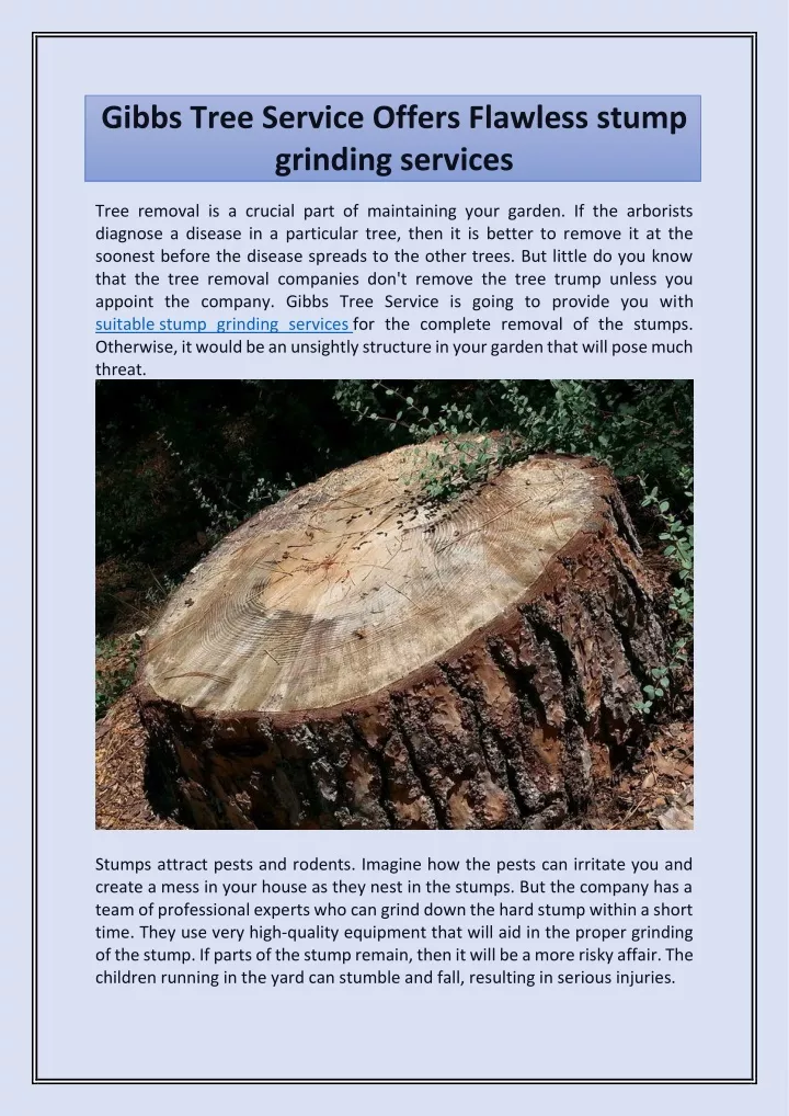 gibbs tree service offers flawless stump grinding