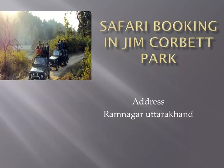 safari booking in jim corbett park