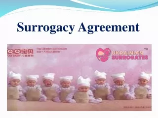 Surrogacy Agreement