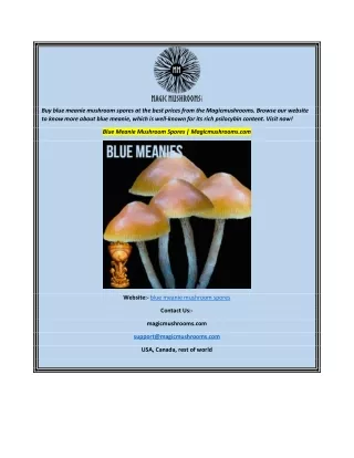 Blue Meanie Mushroom Spores  Magicmushrooms.com