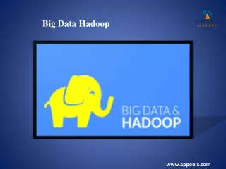 Big Data