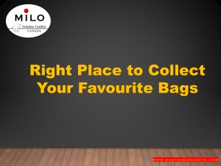 right place to collect your favourite bags