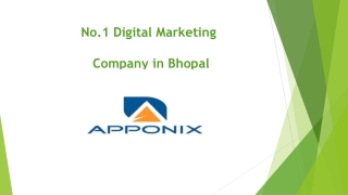 no 1 digital marketing company in bhopal