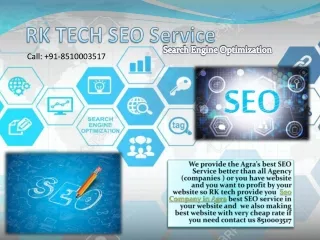 SEO Service company in Agra