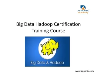 Big Data Hadoop Certification Training Course