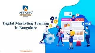 Digital Marketing Training in Bangalore by Apponix