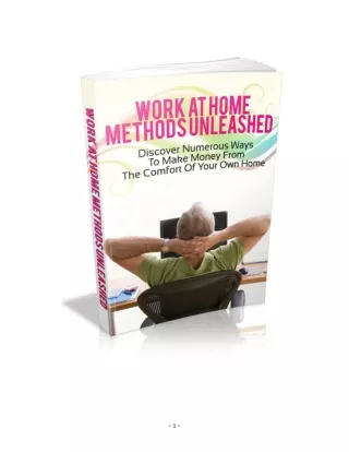 Work_at_Home_Methods_Unleashed
