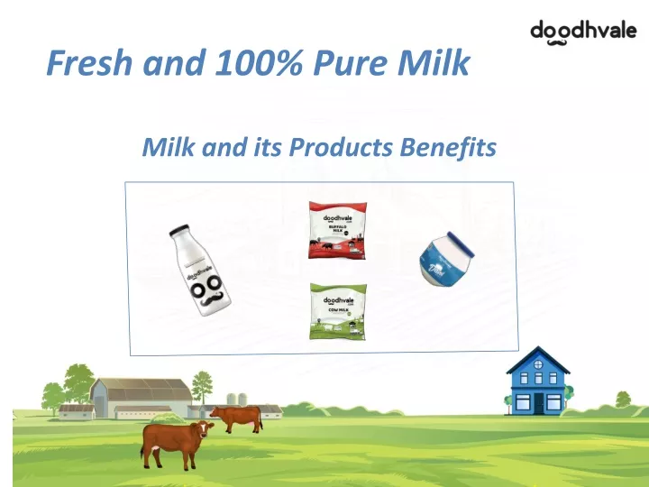 fresh and 100 pure milk