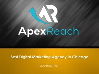 Best Digital Marketing Agency in Chicago - Apexreach.net