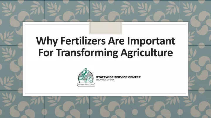 why fertilizers are important for transforming agriculture