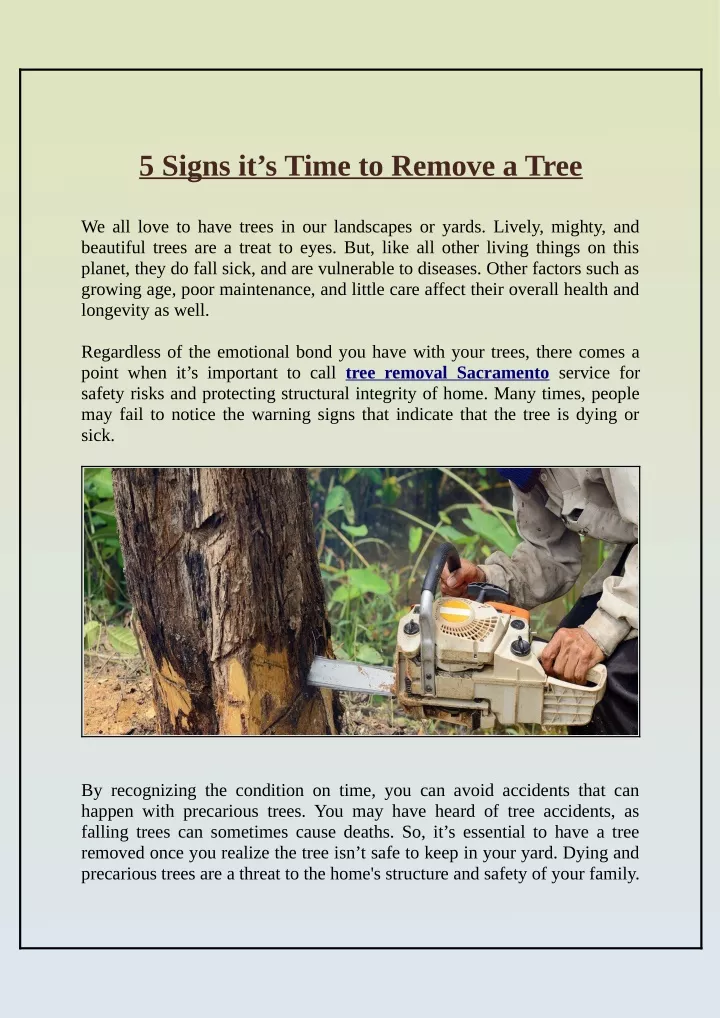 5 signs it s time to remove a tree
