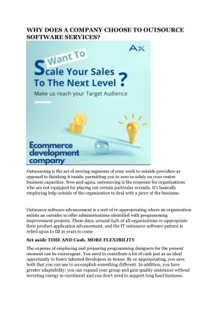 why does a company choose to outsource software
