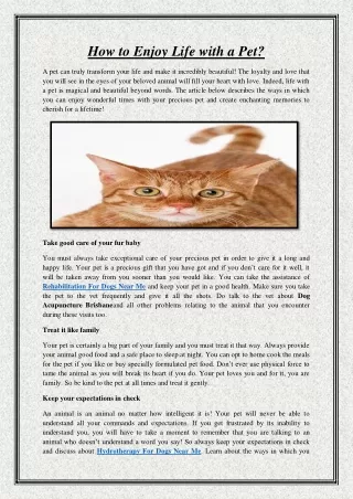 how to enjoy life with a pet