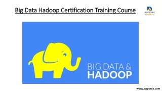 Big Data Hadoop Certification Training Course