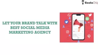 Branding with best Social media marketing agency | Geekschip