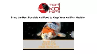 Bring the Best Possible Koi Food to Keep Your Koi Fish Healthy