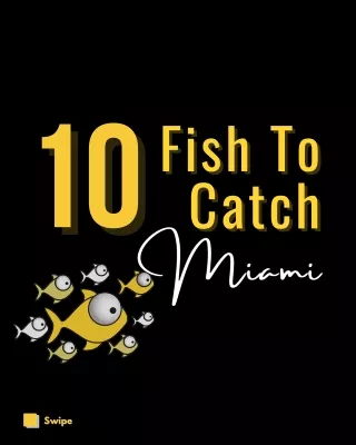 10 Fish To Catch in Miami