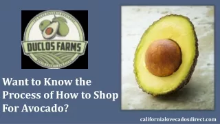 How to Shop for Avocado