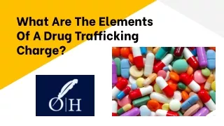 What Are The Elements Of A Drug Trafficking Charge?