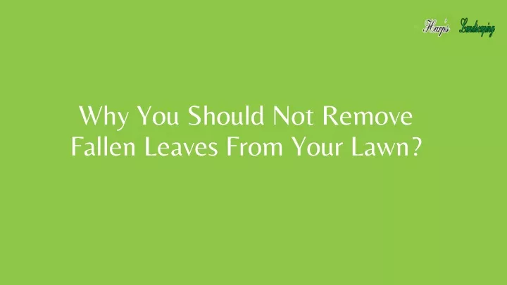 why you should not remove fallen leaves from your