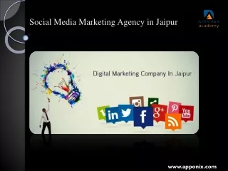 Social Media Marketing Agency in Jaipur