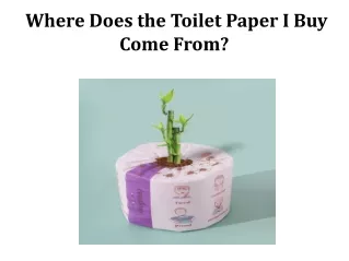 Where Does the Toilet Paper I Buy Come From?