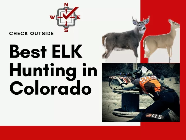 check outside best elk hunting in colorado