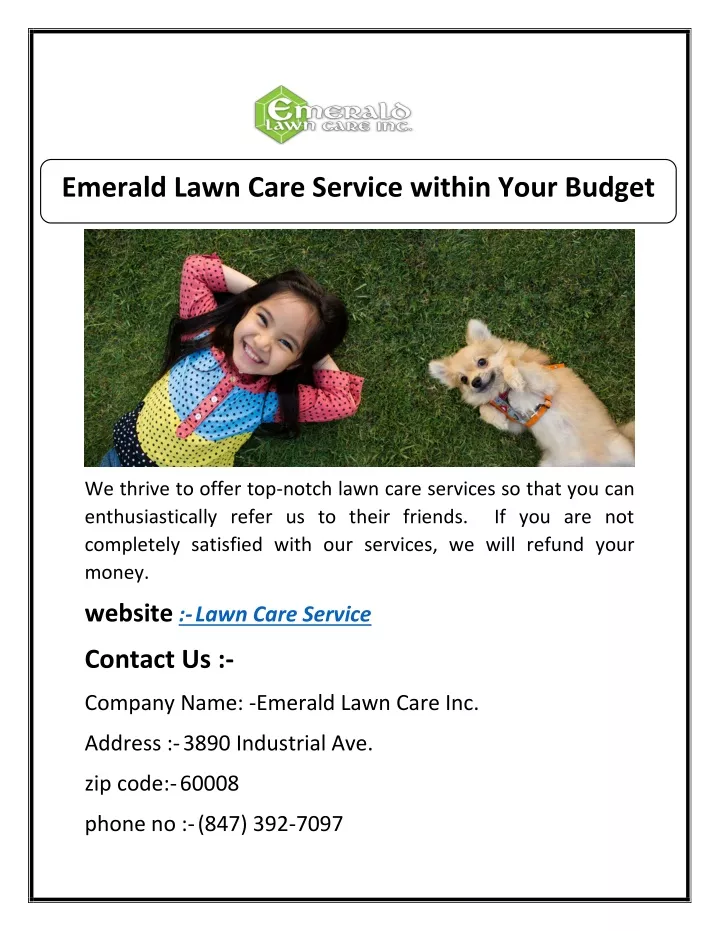 emerald lawn care service within your budget