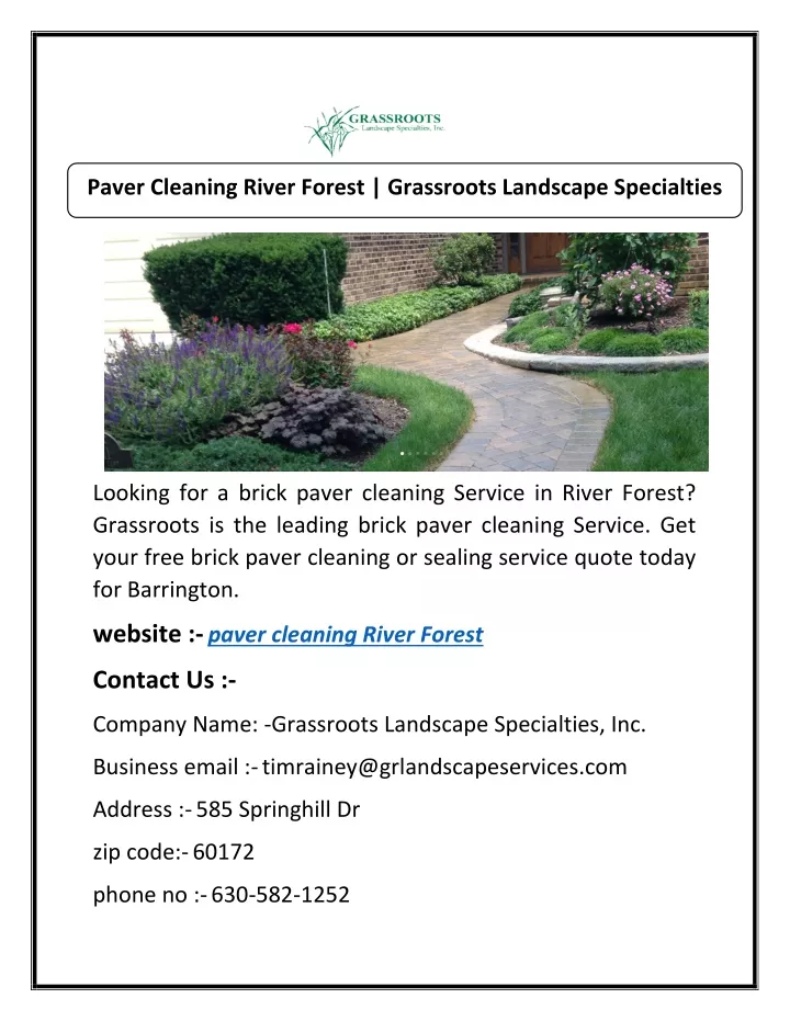 paver cleaning river forest grassroots landscape